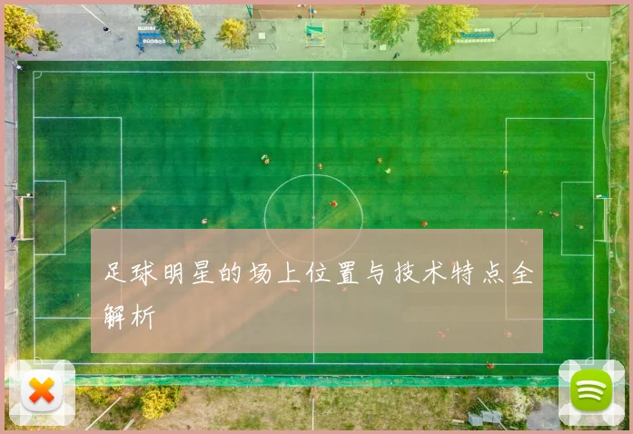 足球明星的场上位置与技术特点全解析
