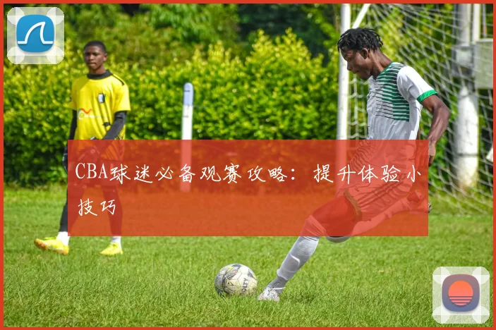 CBA球迷必备观赛攻略:提升体验小技巧